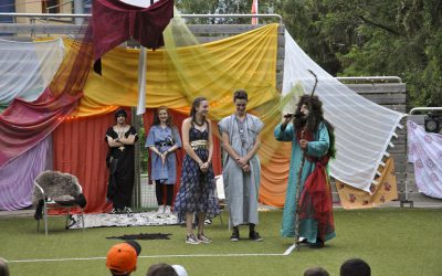 Jour – J : Le mariage du Sultan – Chapitre 11