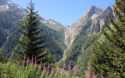Notre périple dans le désert