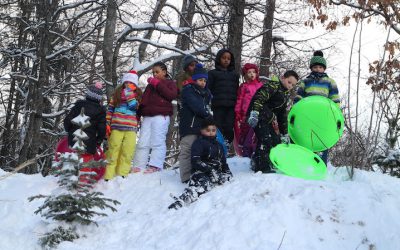 La truffe dans la neige