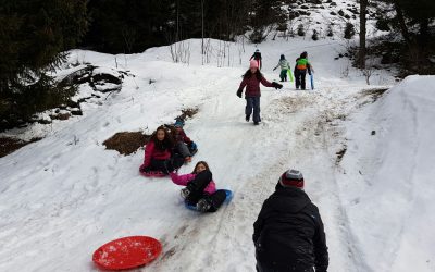 Les rois de la glisse