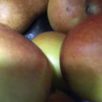 LE CHASSEUR veut sa pomme